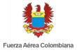 fuerza_aerea_2