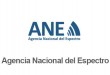 ane_2